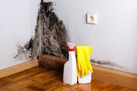 Best Mold Prevention Services in USA